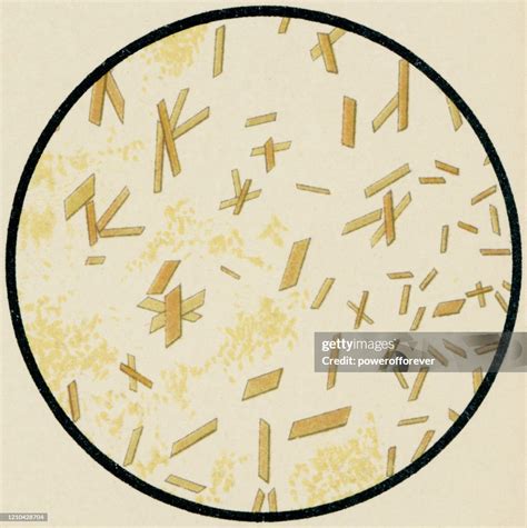 New Haemin Crystals Under Microscope References