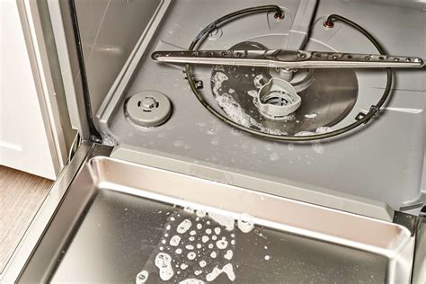 Hafele Dishwasher Not Draining