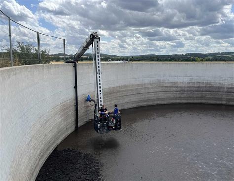 hailleys onlyfans harem