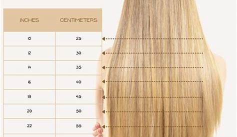 Hair Extension Length Comparison Cashmere Clipin s Has MultiMillion