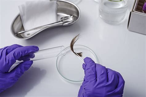 Hair Analysis Lab Forensics
