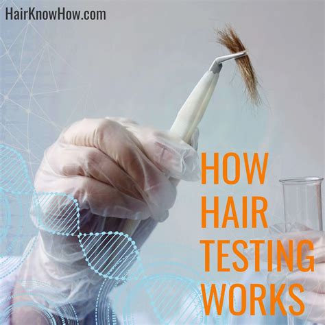 hair analysis test