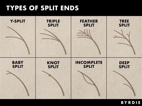 Hair Donation Split Ends
