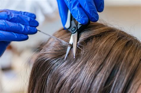 Hair Drug Test