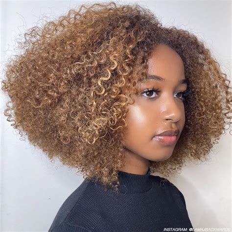 Curly Hair Dye Ideas Examples and Forms