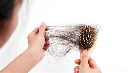 hair fall while oiling