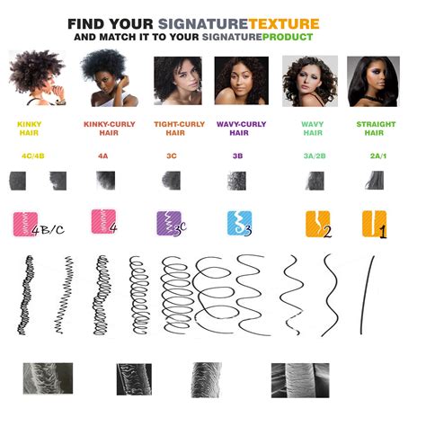 hair type chart with photos