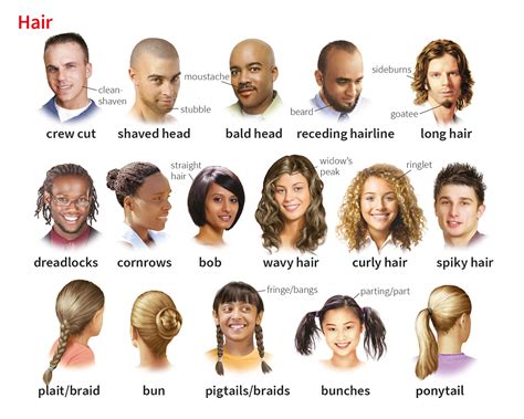 haired meaning in english