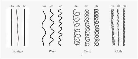 hairstyle identifier