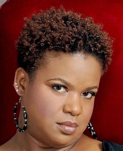  79 Stylish And Chic Hairstyles For Short Natural African American Hair Hairstyles Inspiration