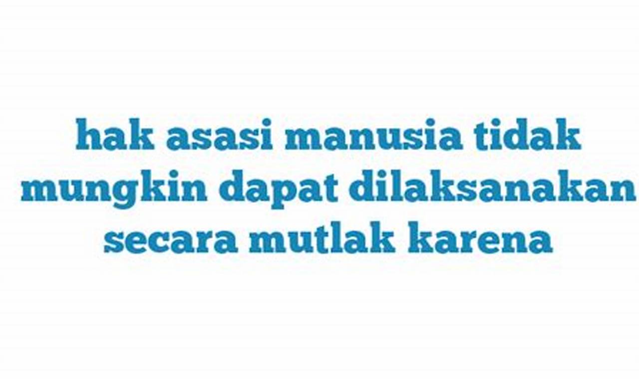 Hak Asasi Manusia Tidak Mungkin Dapat Dilaksanakan Secara Mutlak Karena