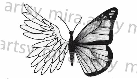 Half Angel Wing Butterfly Drawing Scan - DIGITAL DOWNLOAD for Tattoo