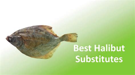 Halibut Alternatives