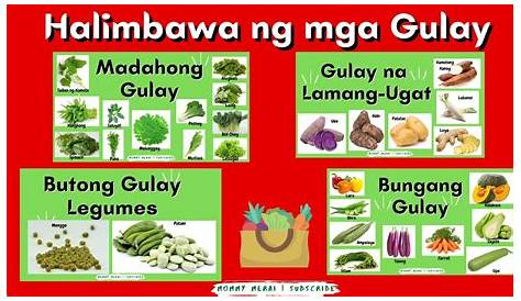 Mga Benepisyo ng Iba't Ibang Kulay na Prutas at Gulay - Doktor Doktor Lads