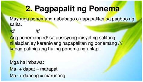 Limang Halimbawa Ng Morpoponemiko - pinuno limang