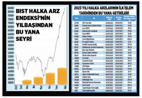 halka arz performansları 2023