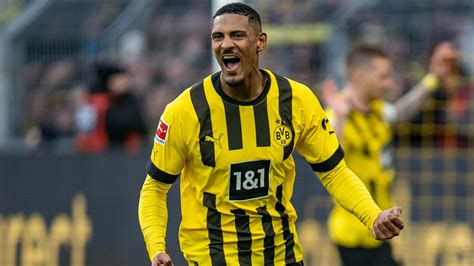 haller bvb tumor