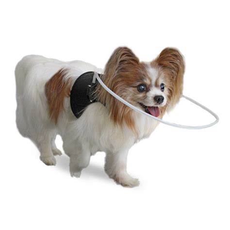 Blind Pet Anticollision Ring Collar Safe Halo Harness For Blind Dogs