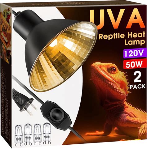 Halogen Light Reptiles