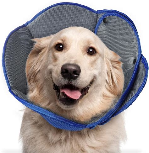Halskrause Hund Weich Plüsch Schutzkragen für Welpen, Kleine Hunde und