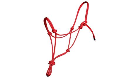 Halter Rope Horsemanship