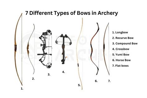 Halves Of Archery Bow