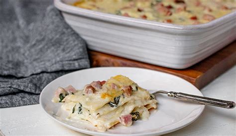 Ham Alfredo Lasagna