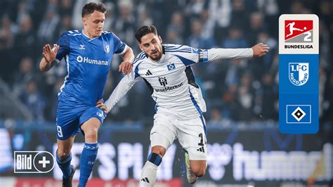 hamburger sv live stream