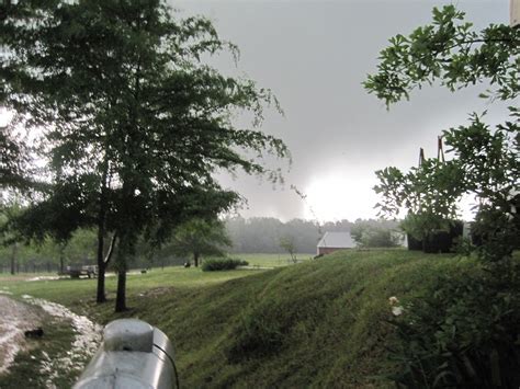 Hamilton Al Tornado