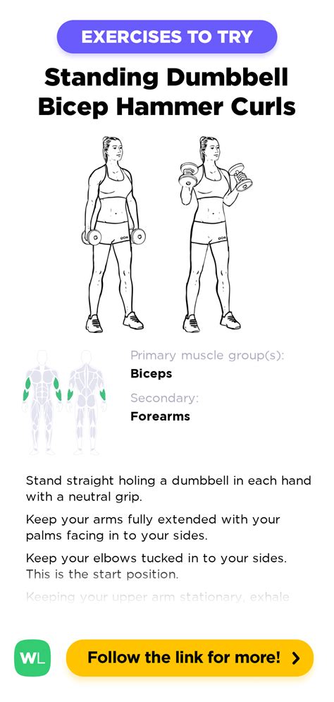 Hammer Curls Definition