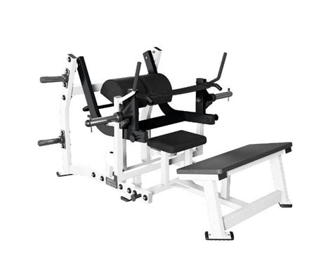 Hammer Strength Location