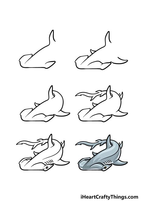 How to Draw a Hammerhead Shark Step by Step Part 1 YouTube