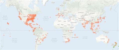 Hammerhead Worm Location Map