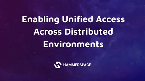 Hammerspace Access
