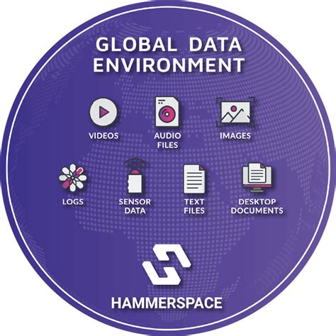 Hammerspace Global Data Environment
