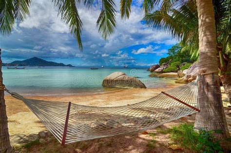 hammock beach paradise