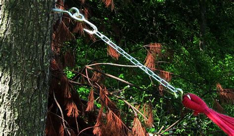 Hammock Tree Hooks on Sale 9100K