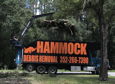 Hammock Tree Service