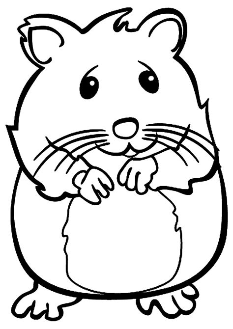 Hamster Dibujos Para Colorear