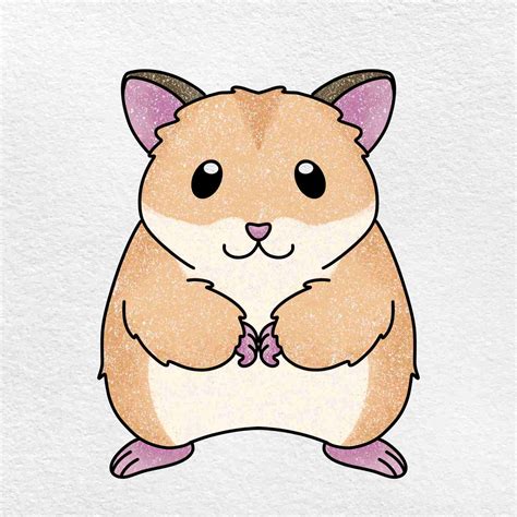 Hamster Drawing