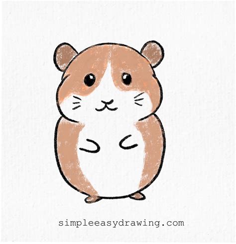 Hamster Drawings