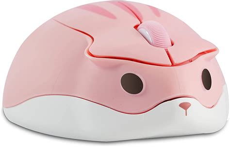 Hamster Mouse Computer