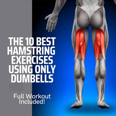 Hamstring Dumbbell Exercises