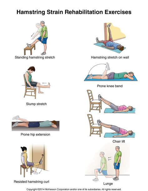 Hamstring Injury Exercises