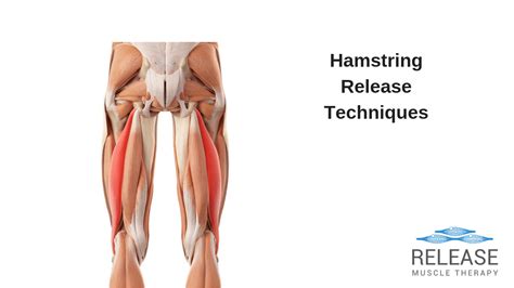 Hamstring Release