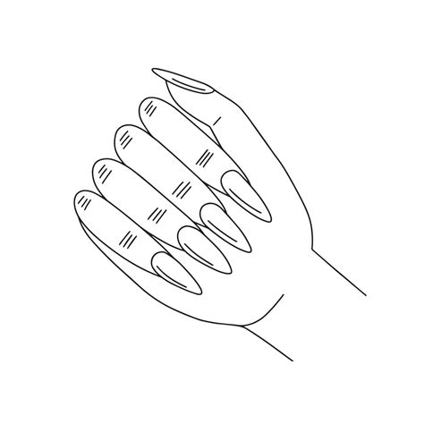 Hand And Nails Drawing