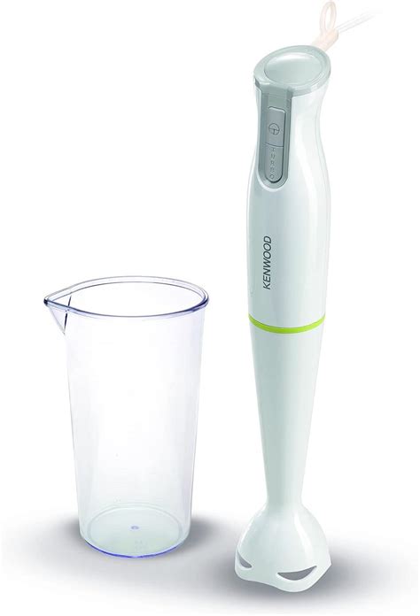 Hand Blender In Plastic Container