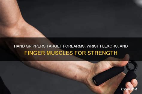 Hand Grippers Target