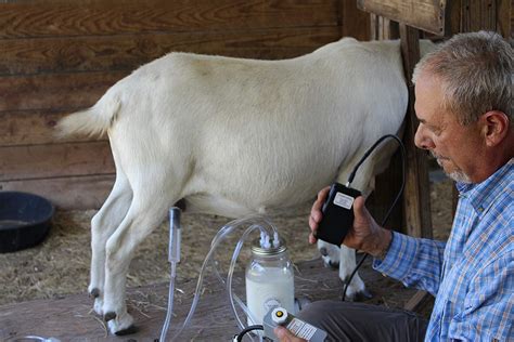 hand milking machine for goats