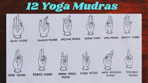 hand mudras in yoga